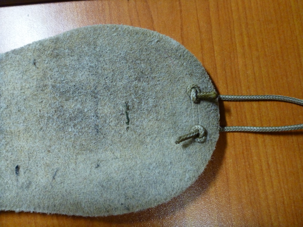 P1060611.JPG