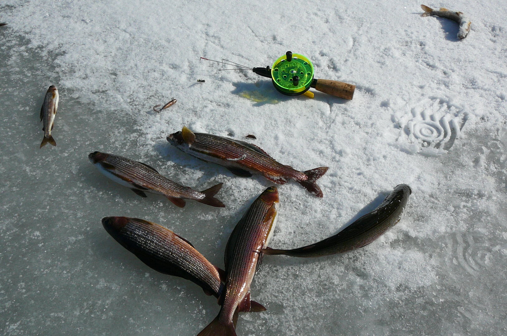 P1060727.JPG