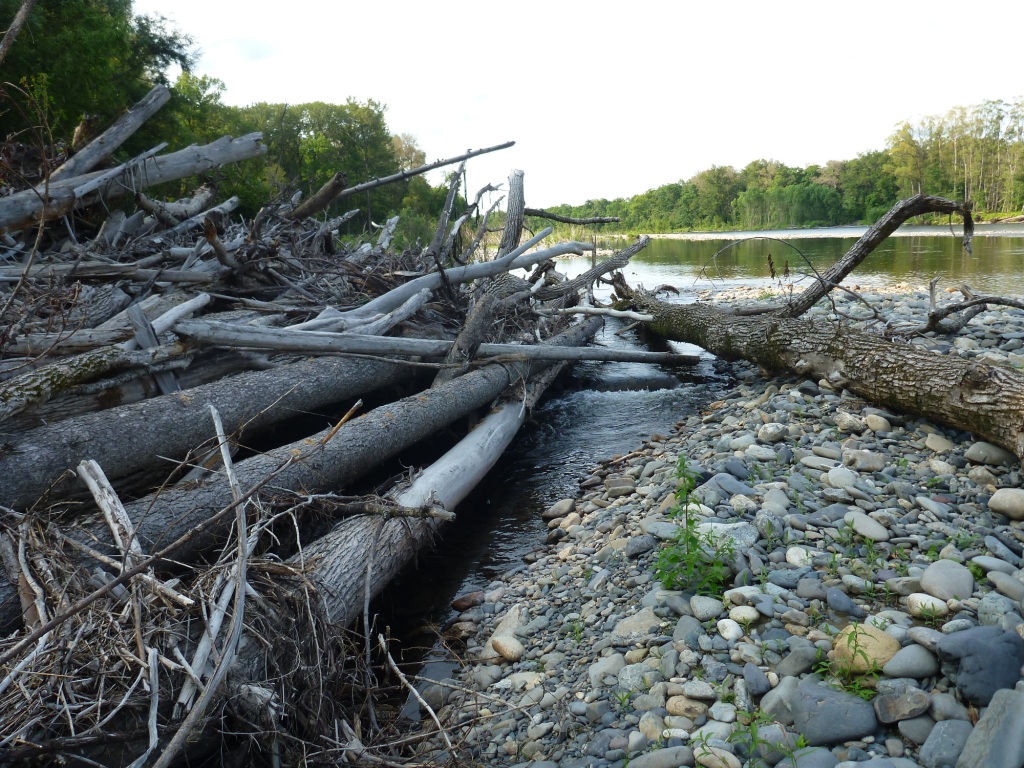 P1060738.JPG