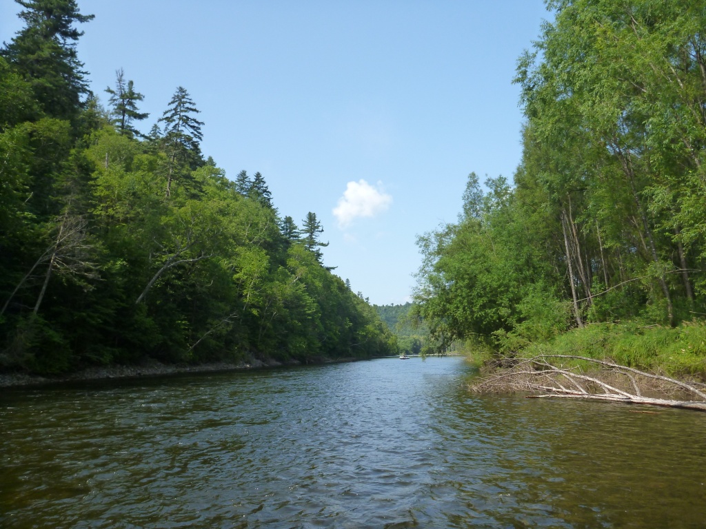 P1060762.JPG