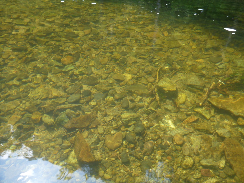 P1060844.JPG