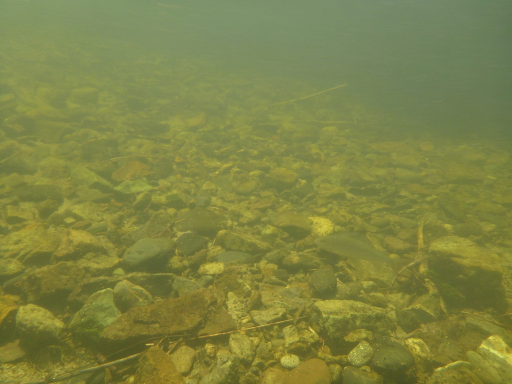 P1060847.JPG