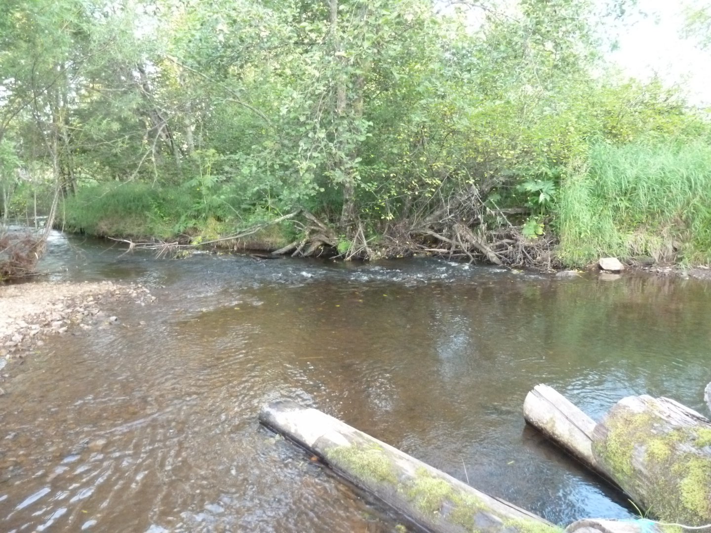 P1060917.JPG