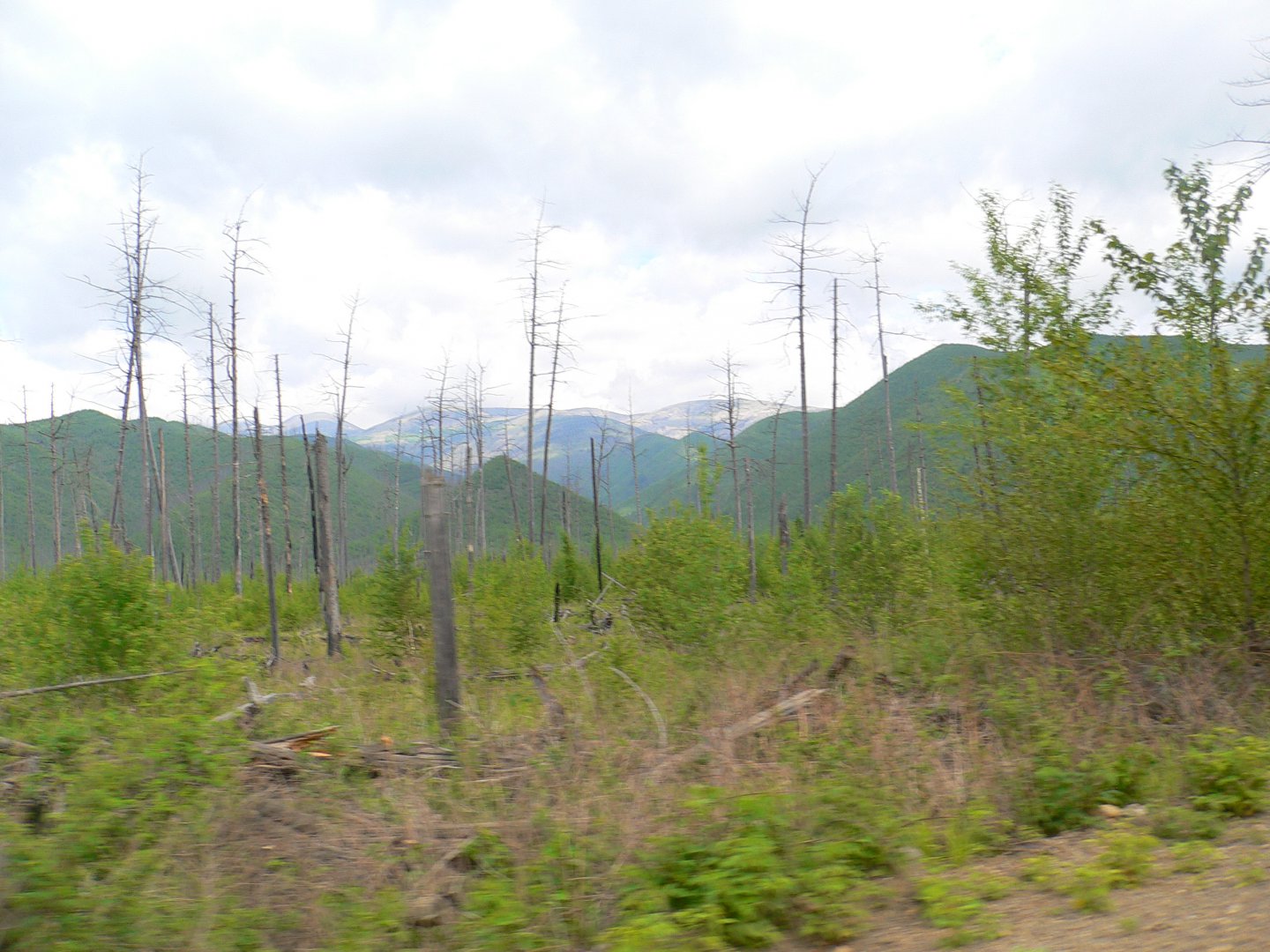 P1070777.JPG