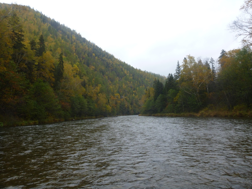 P1080240.JPG