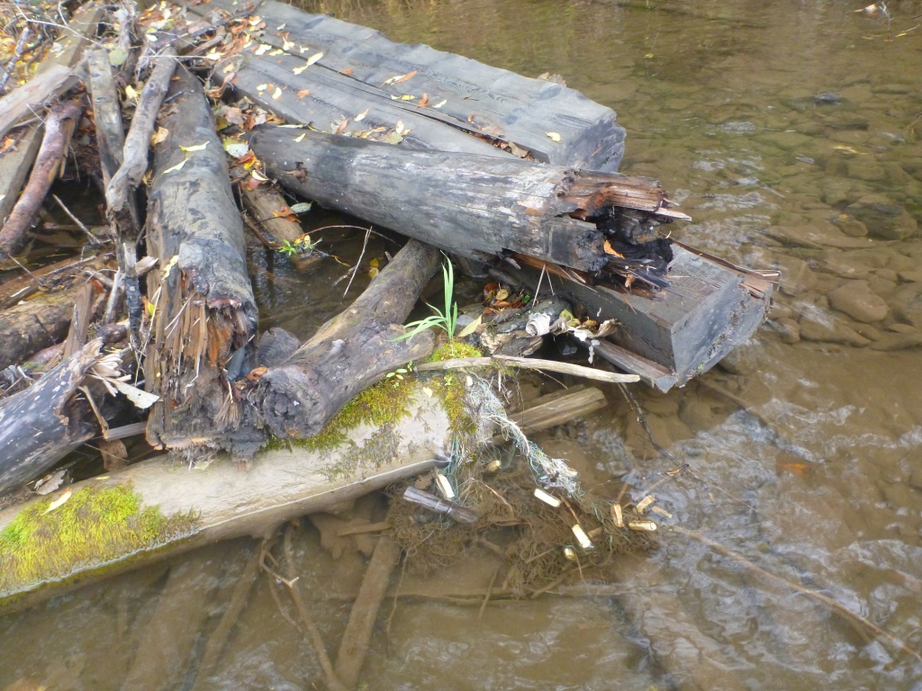P1080246.JPG