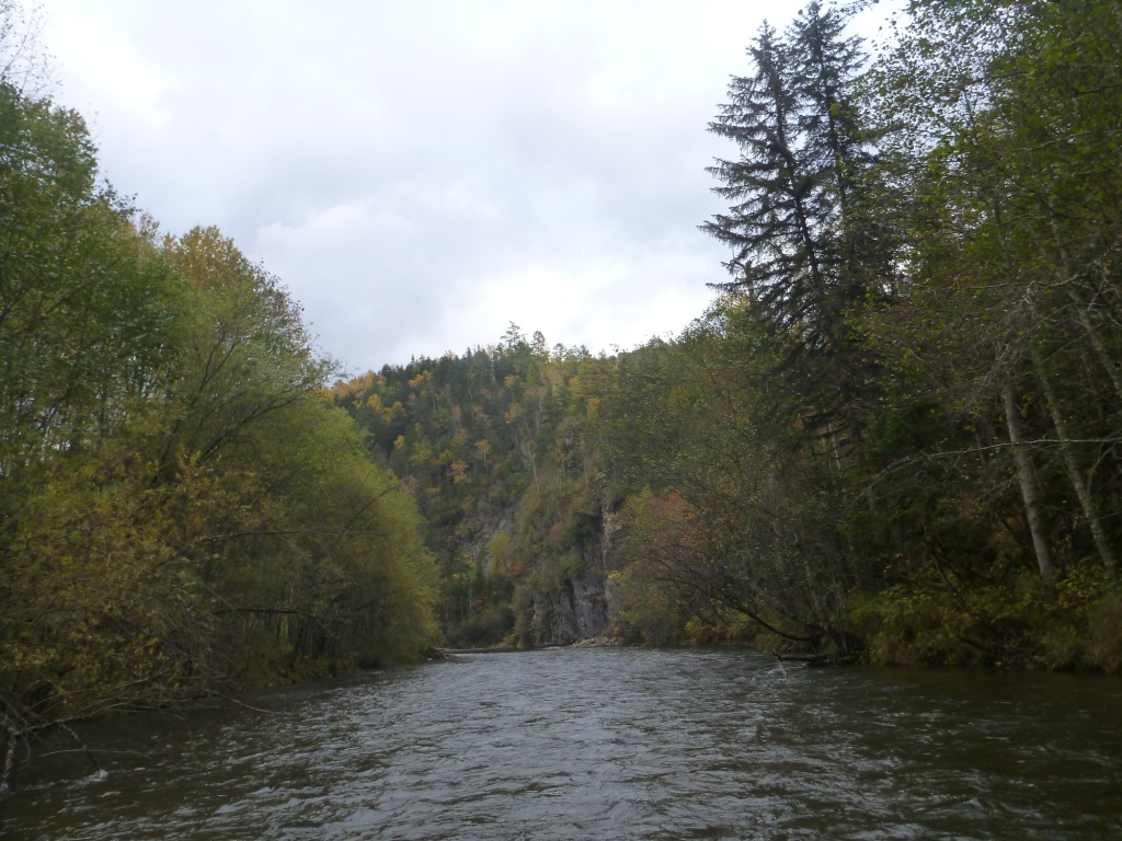 P1080253.JPG