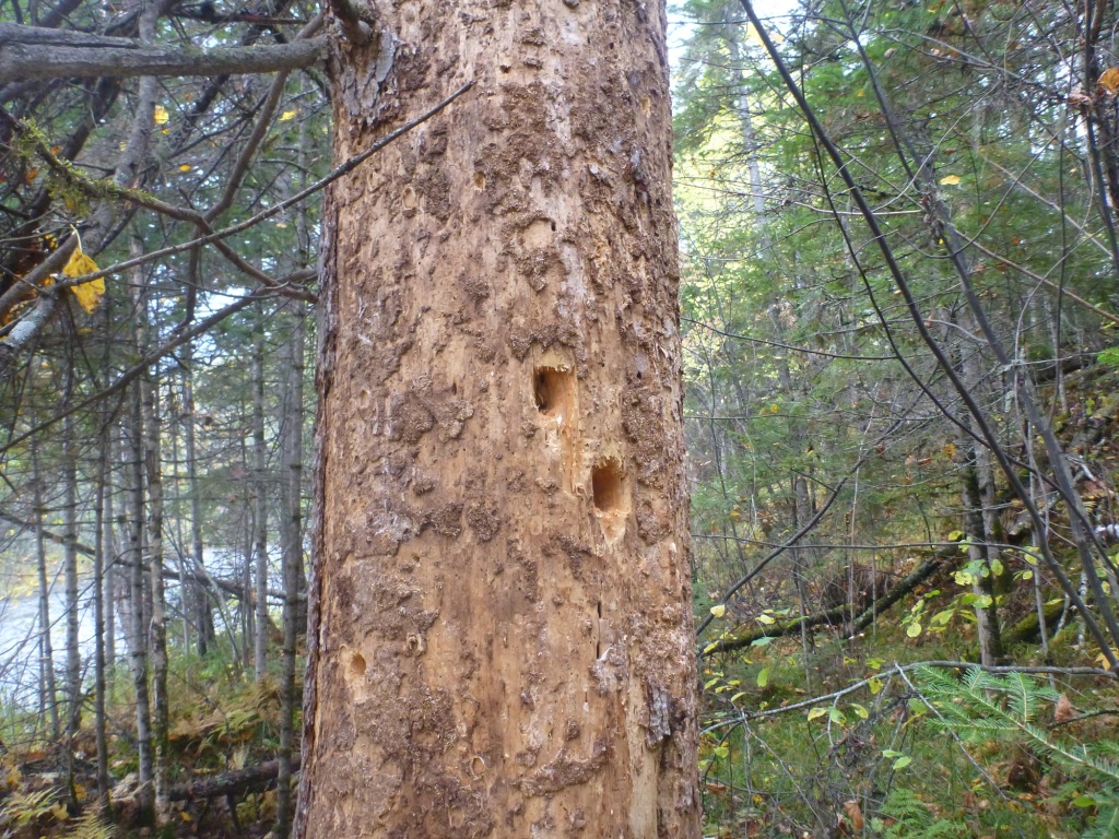 P1080266.JPG