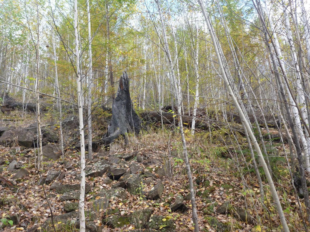 P1080291.JPG