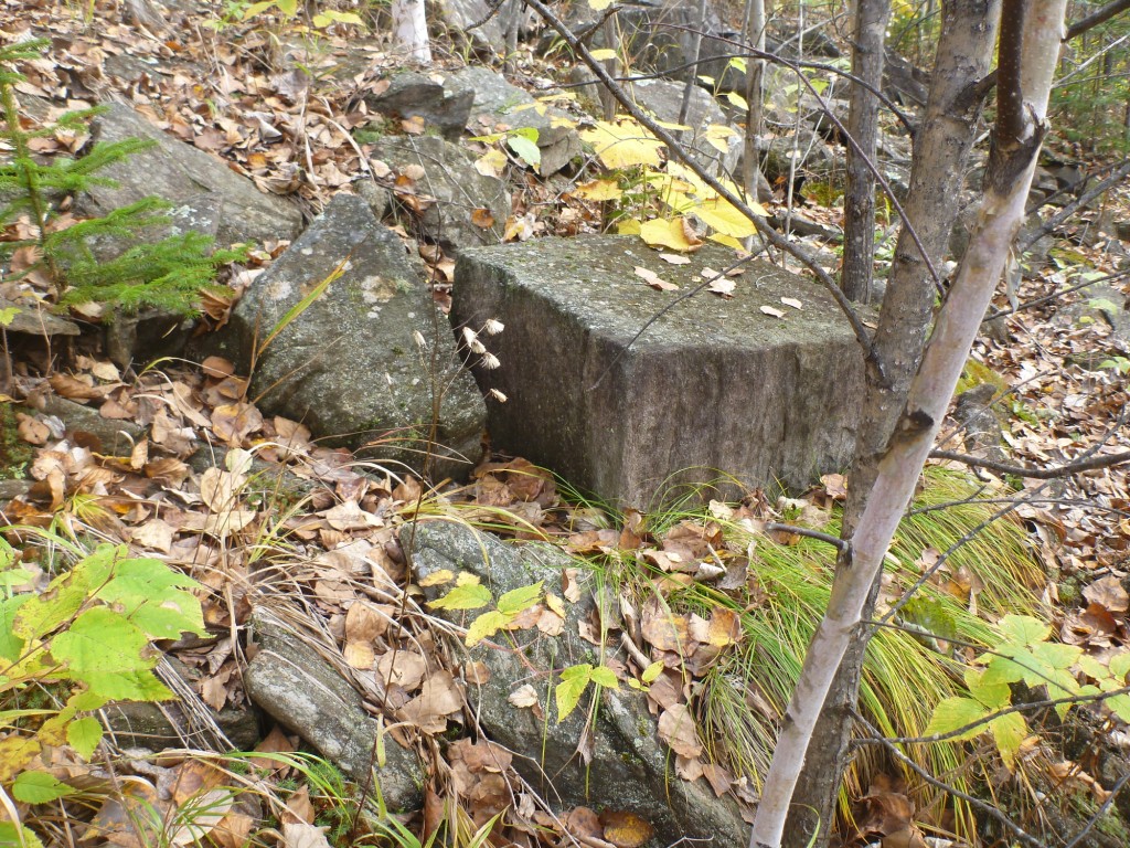 P1080293.JPG