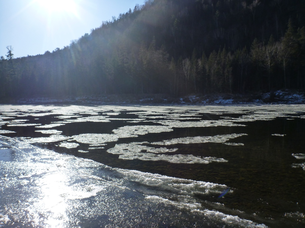 P1080333.JPG