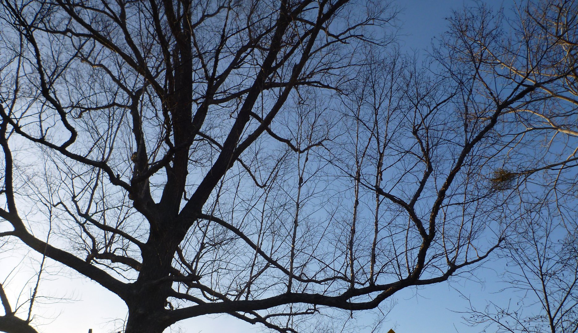 P1080474_1.jpg