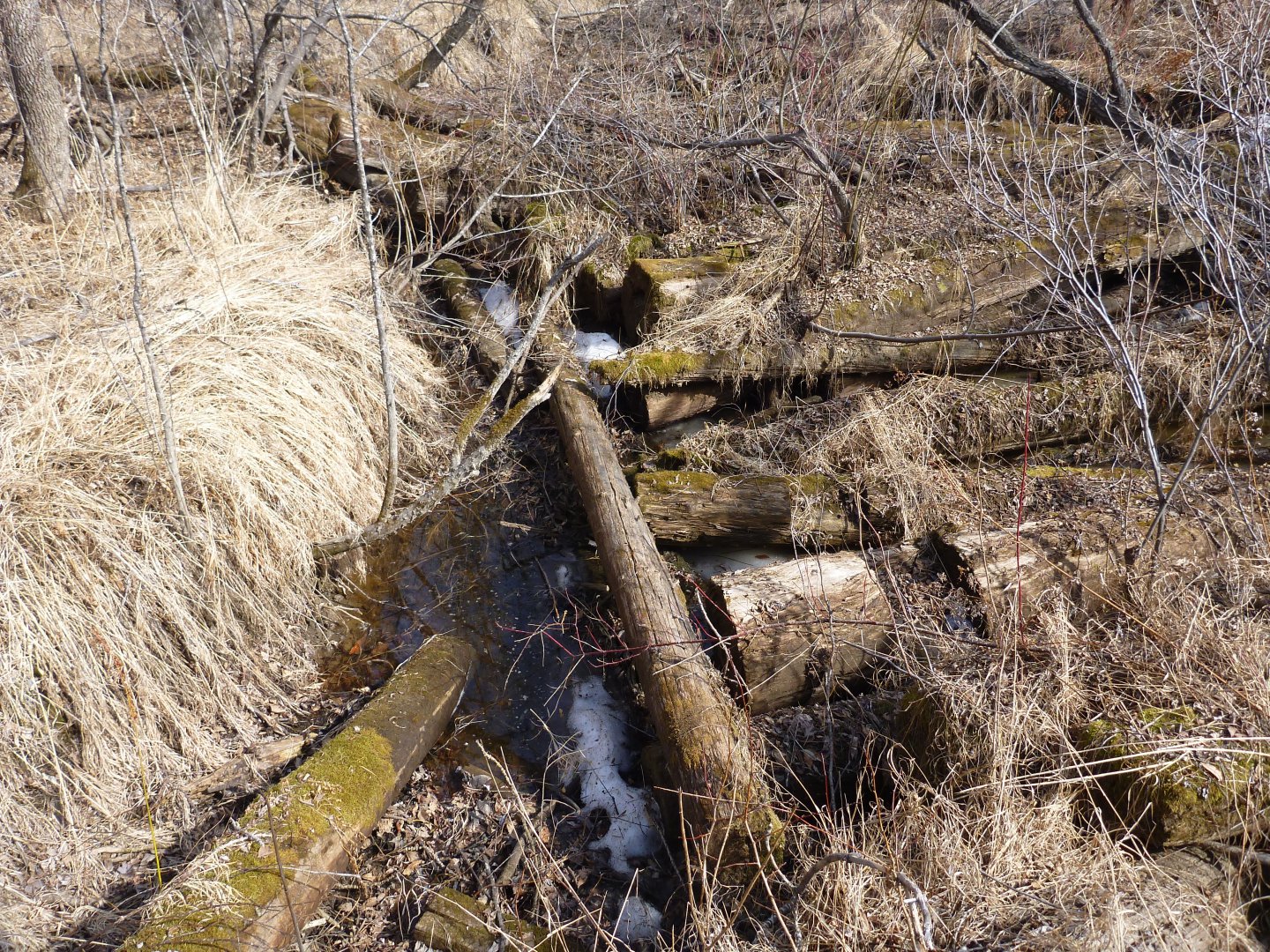 P1080534.JPG