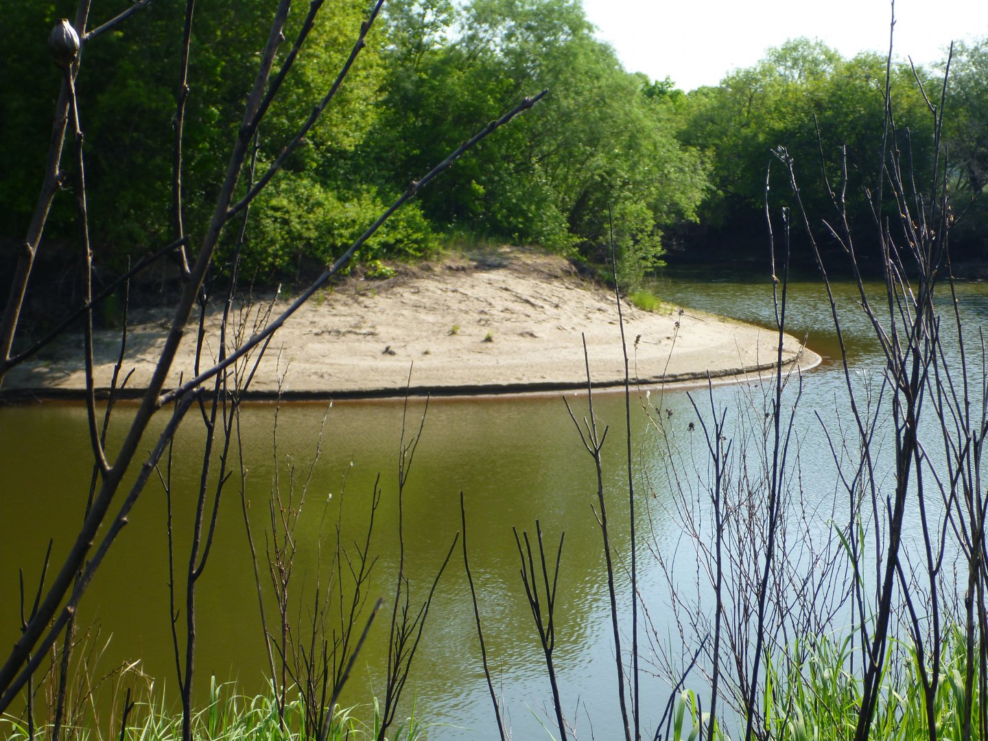 P1080594.JPG