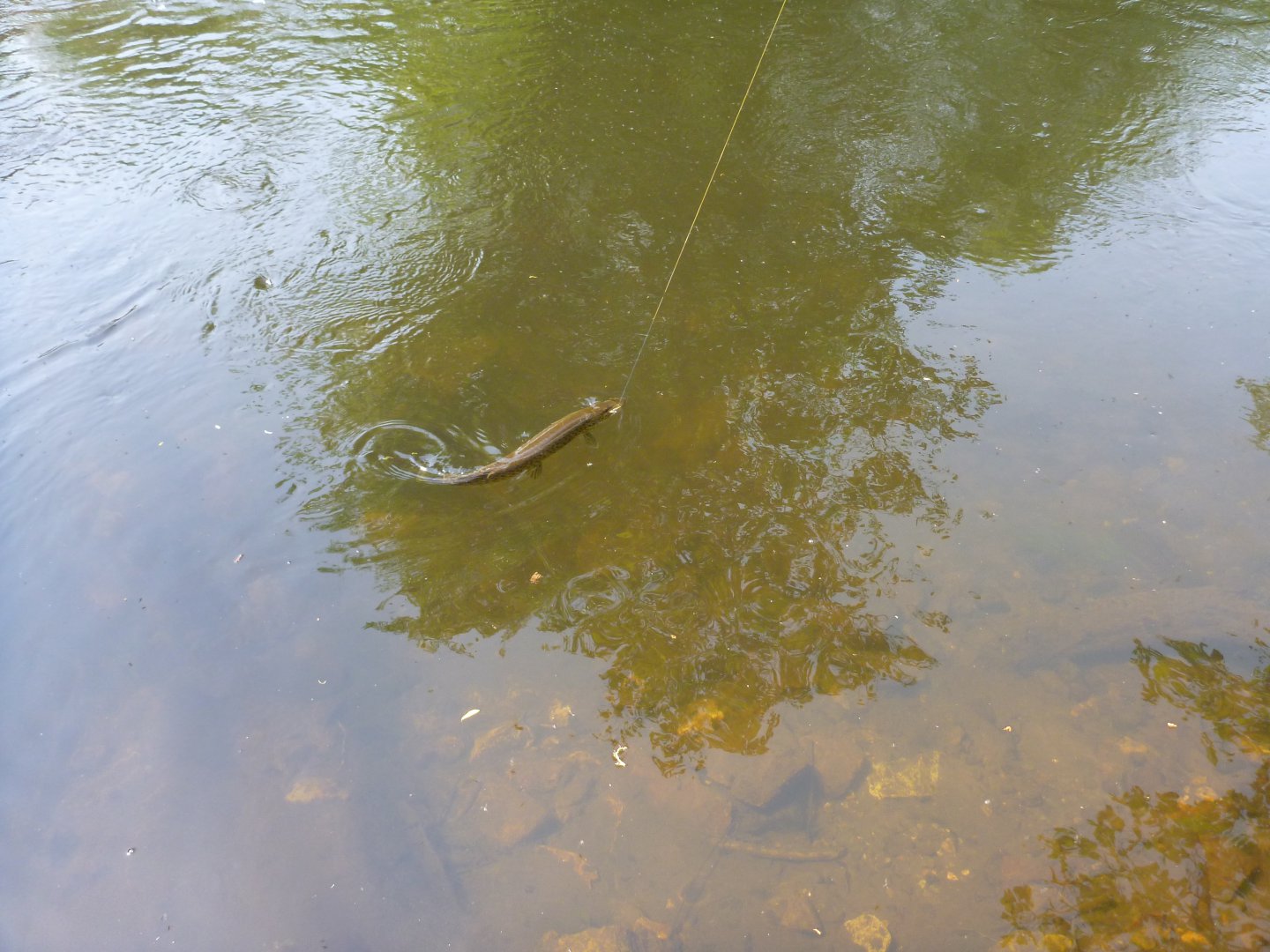 P1080672.JPG