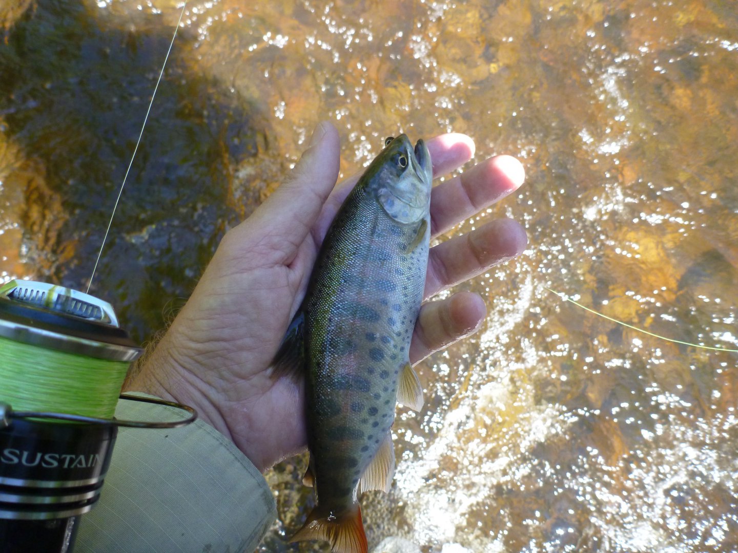 P1080824.JPG