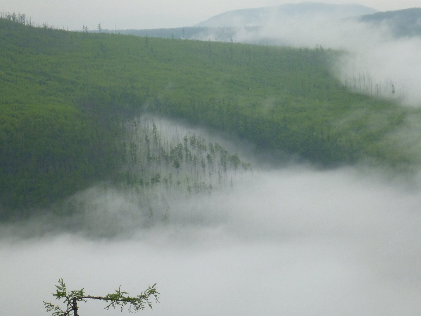 P1080833.JPG