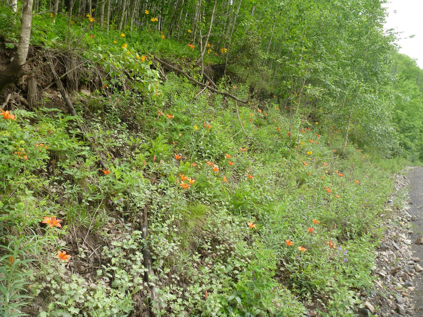 P1080844.JPG