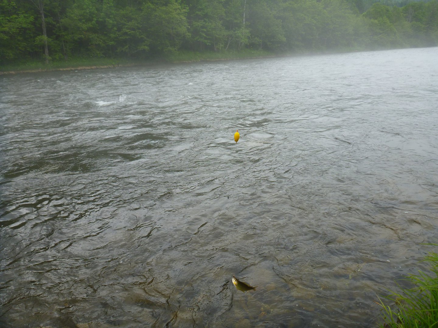 P1080869.JPG