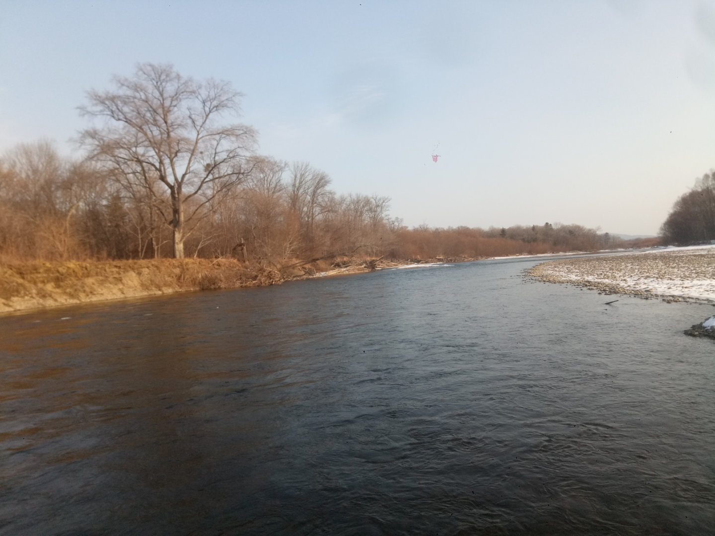P10818-105059[1].jpg