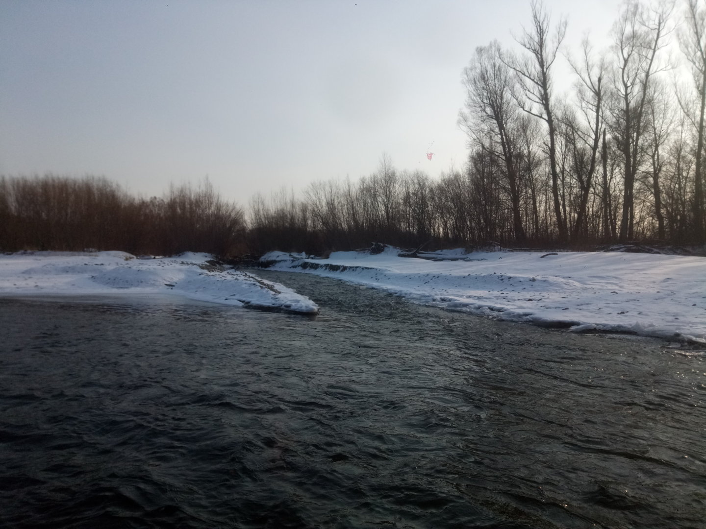 P10818-105241[1].jpg