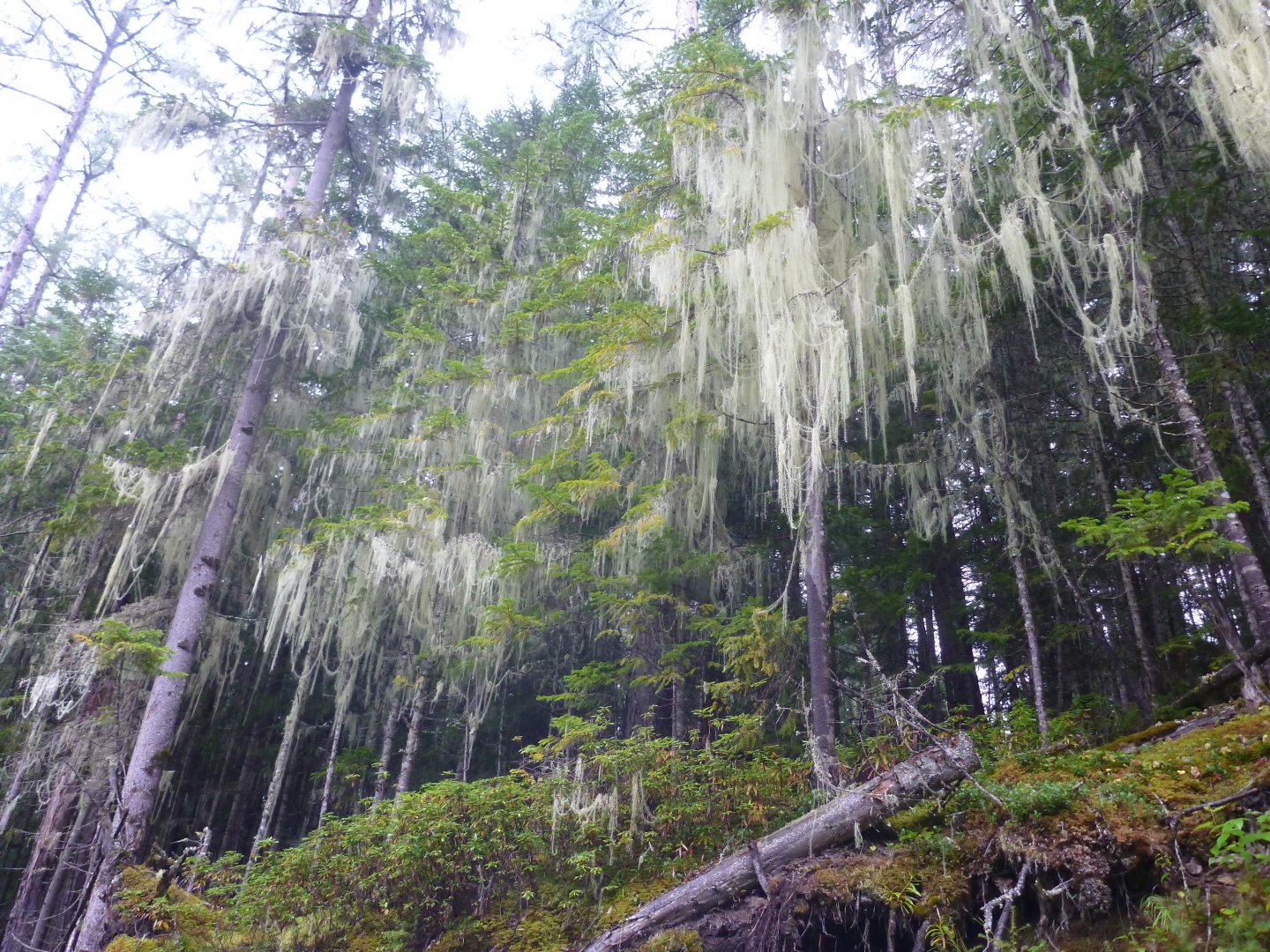 P1090126.JPG
