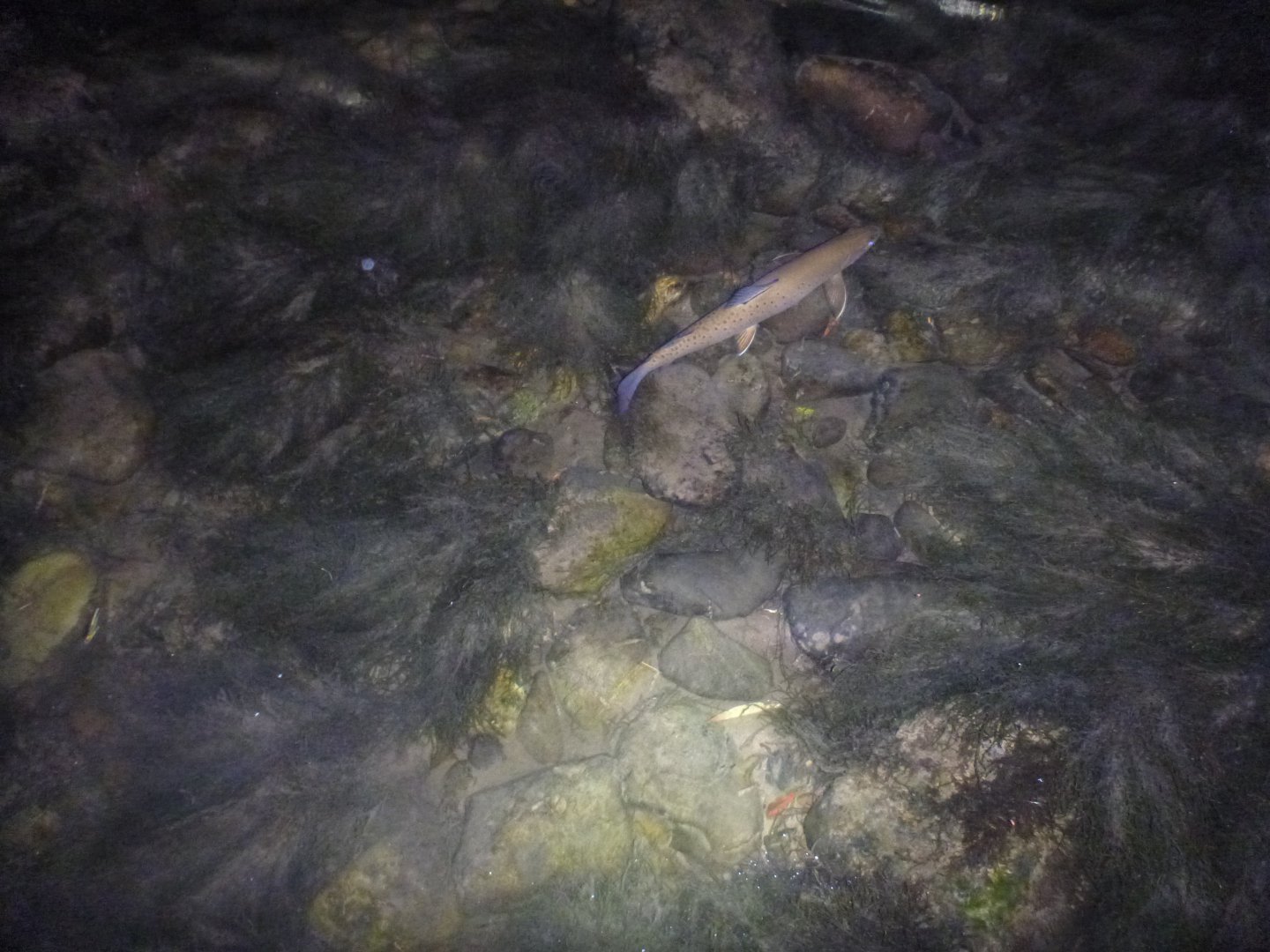 P1090200.JPG