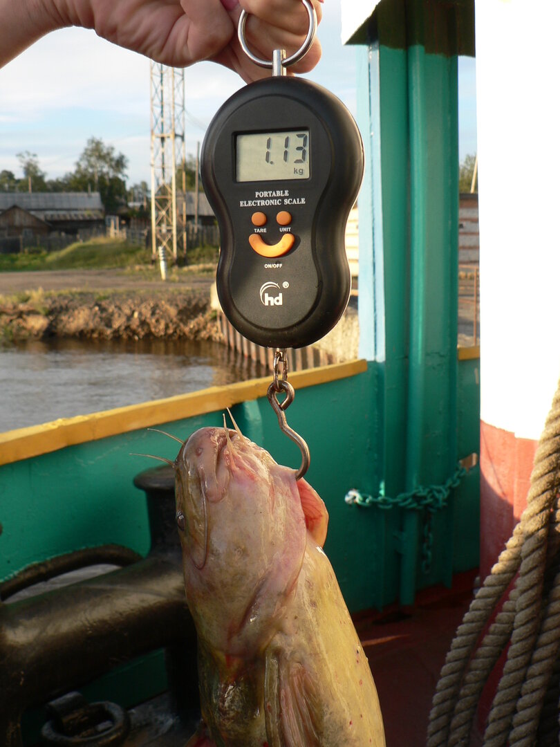 P1090316.JPG
