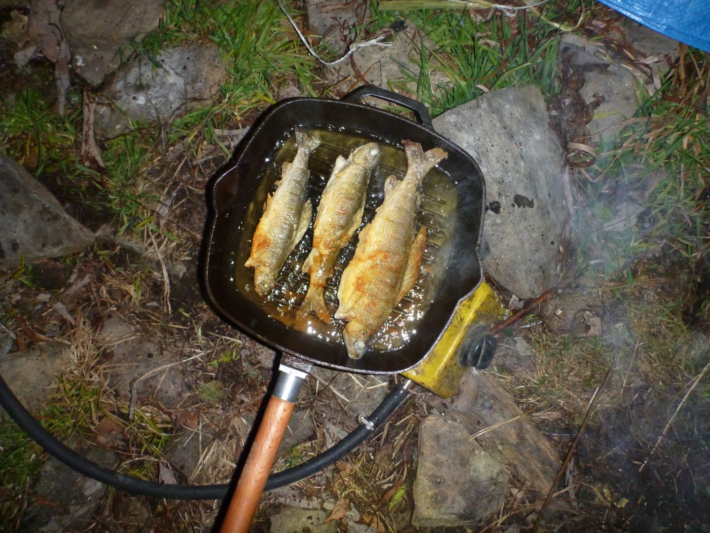 P1090935.JPG