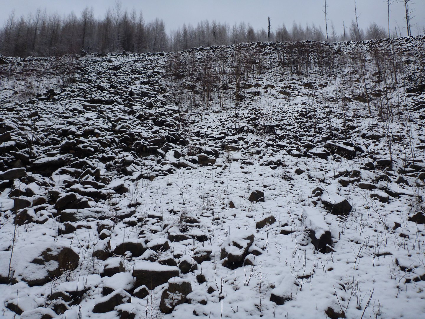 P1100073.JPG