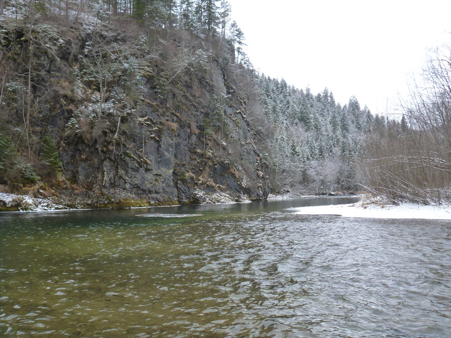 P1100091.JPG