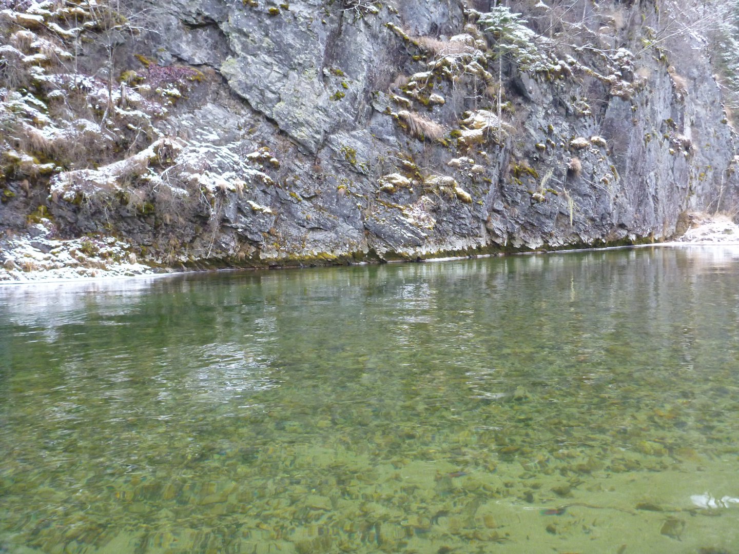 P1100102.JPG