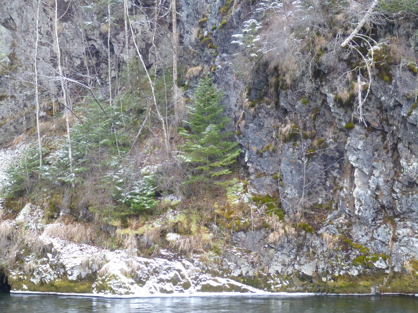 P1100112.JPG