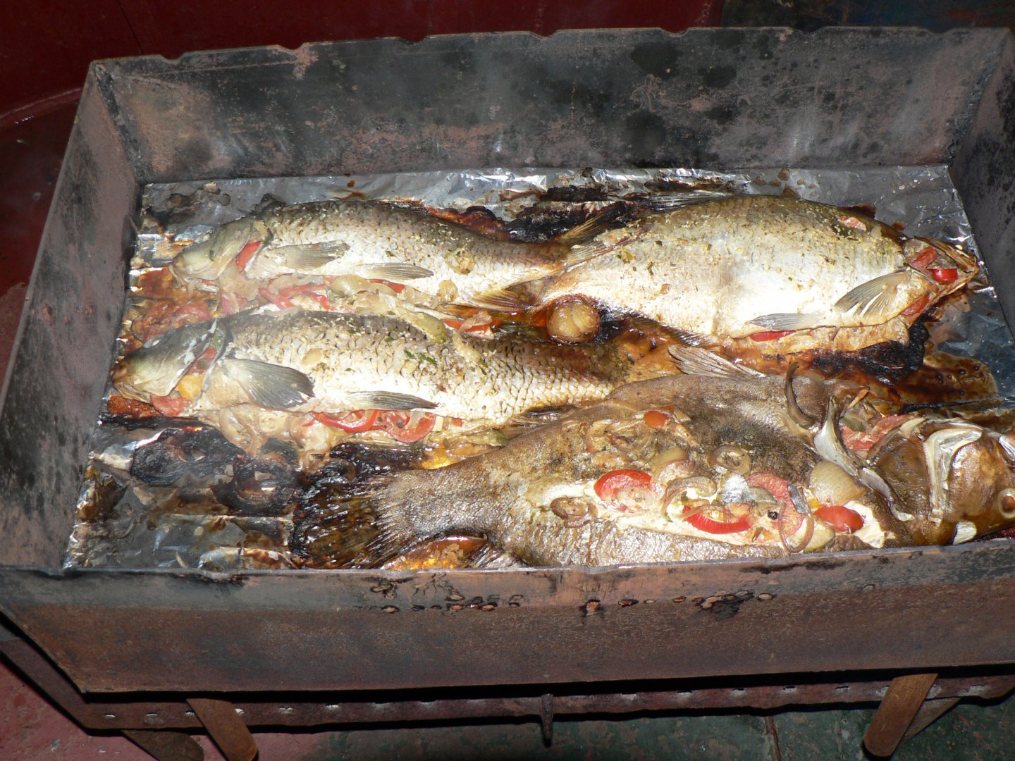 P1100686.JPG