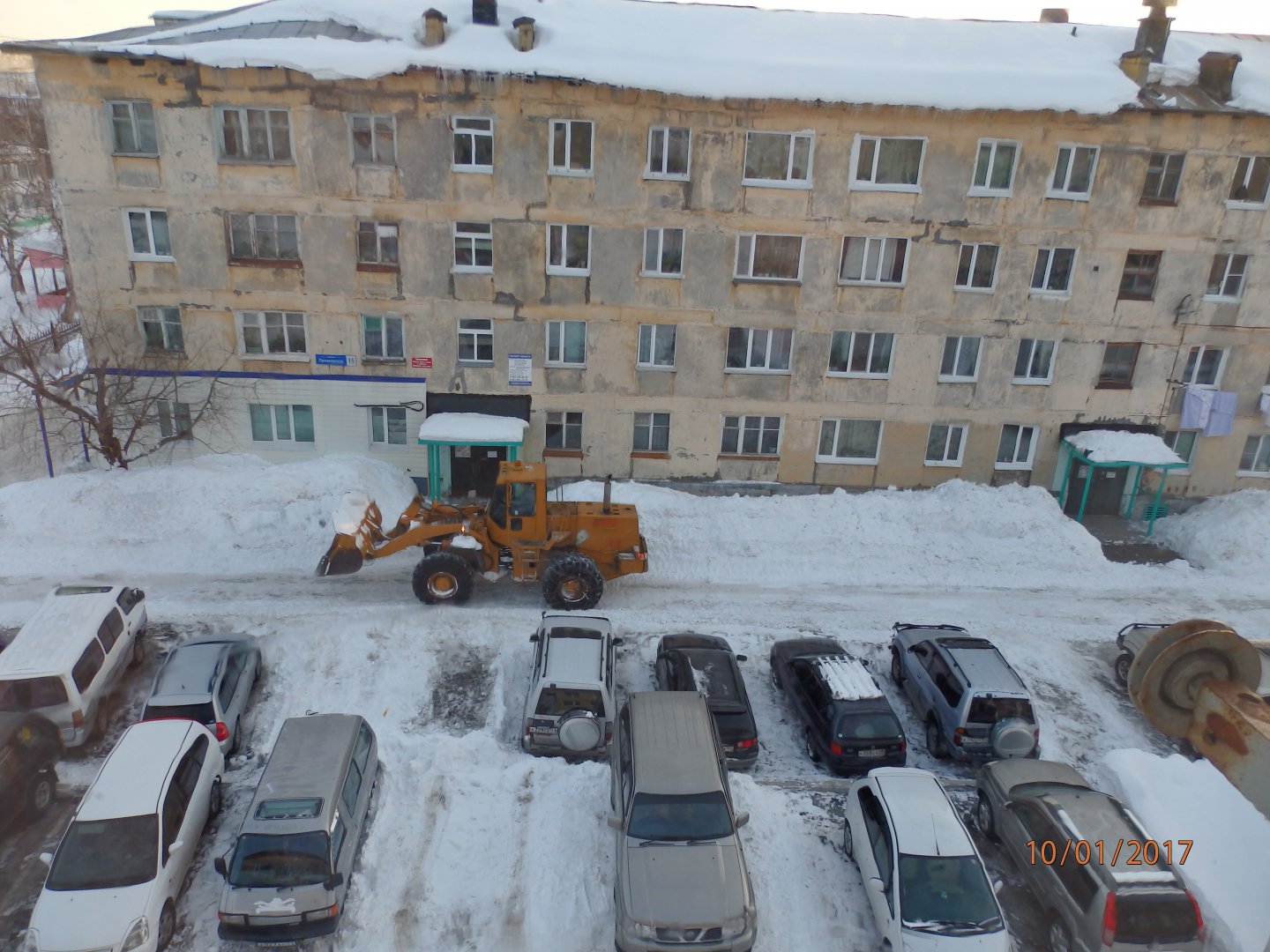 P1102633.JPG