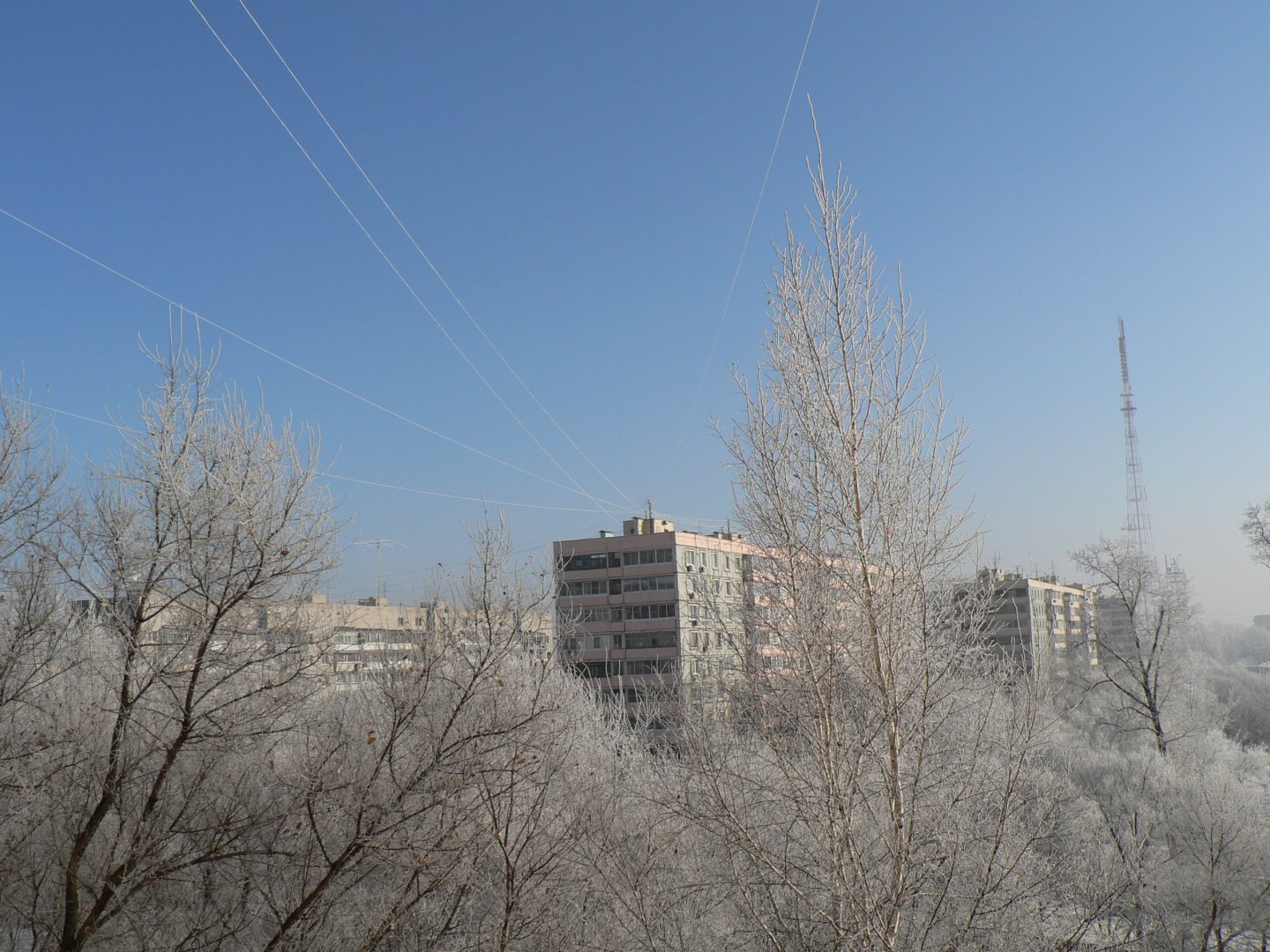 P1110510.JPG