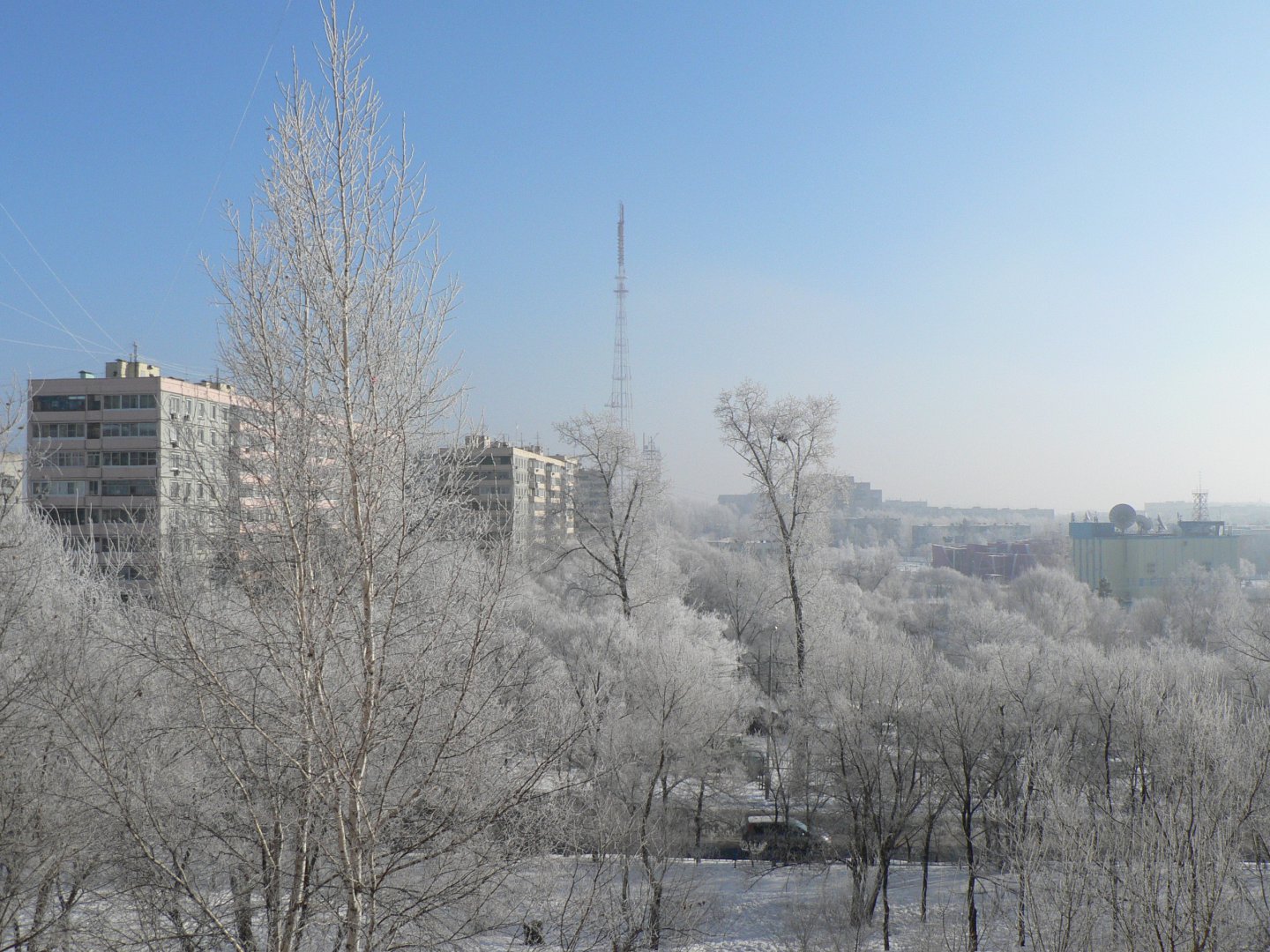 P1110514.JPG