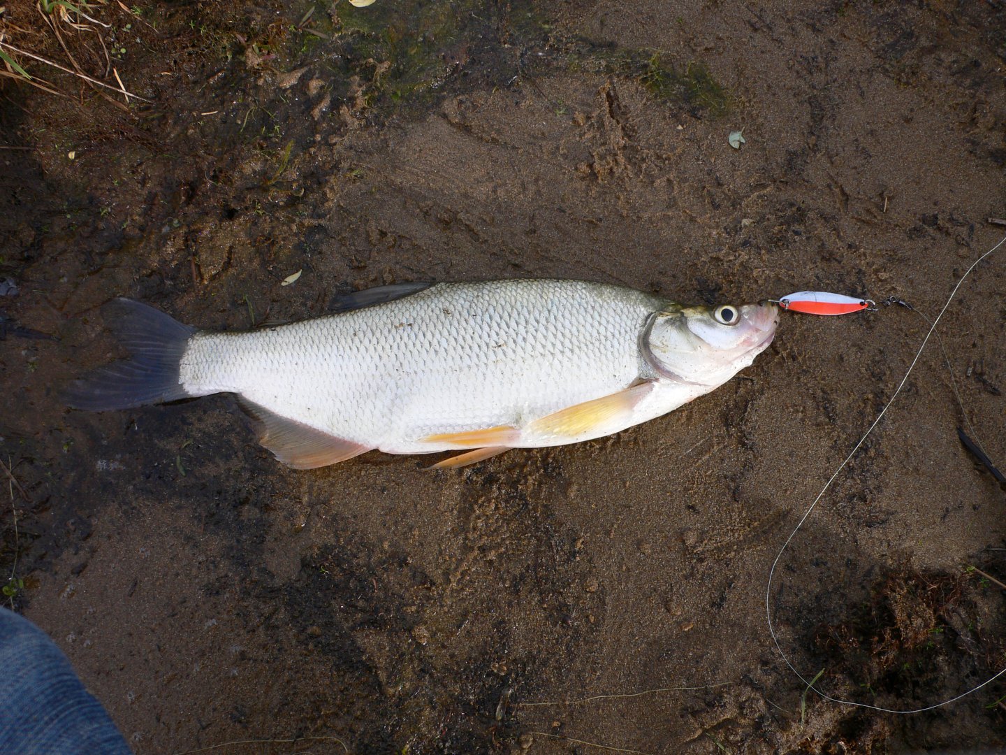 P1110645.JPG