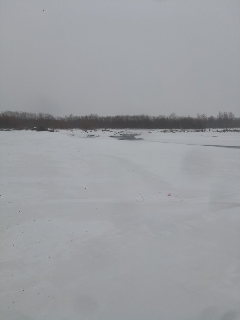 P11205-114800[1].jpg