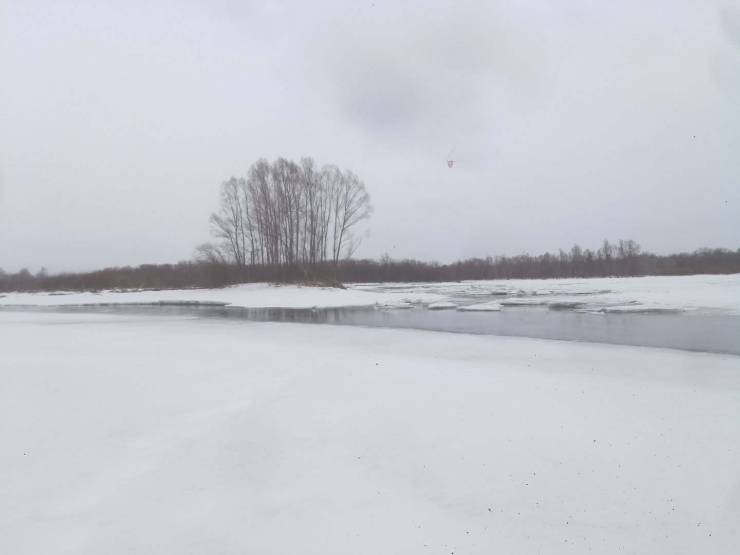 P11222-132020[1].jpg