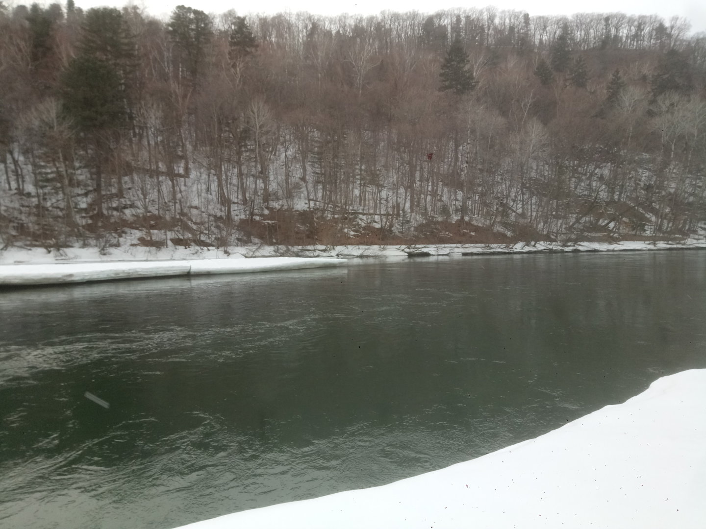 P11222-140332[1].jpg