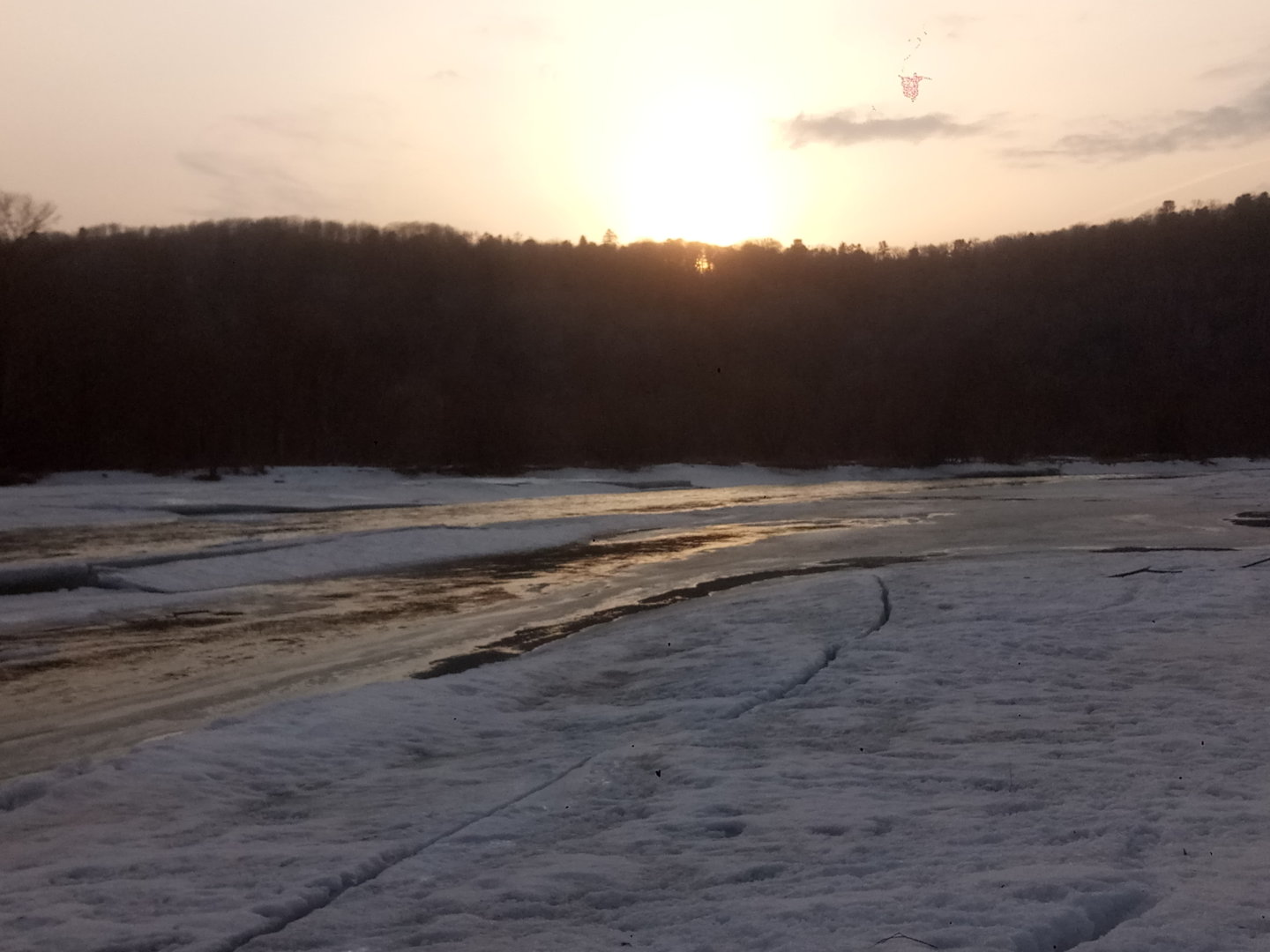 P11229-143209[1].jpg