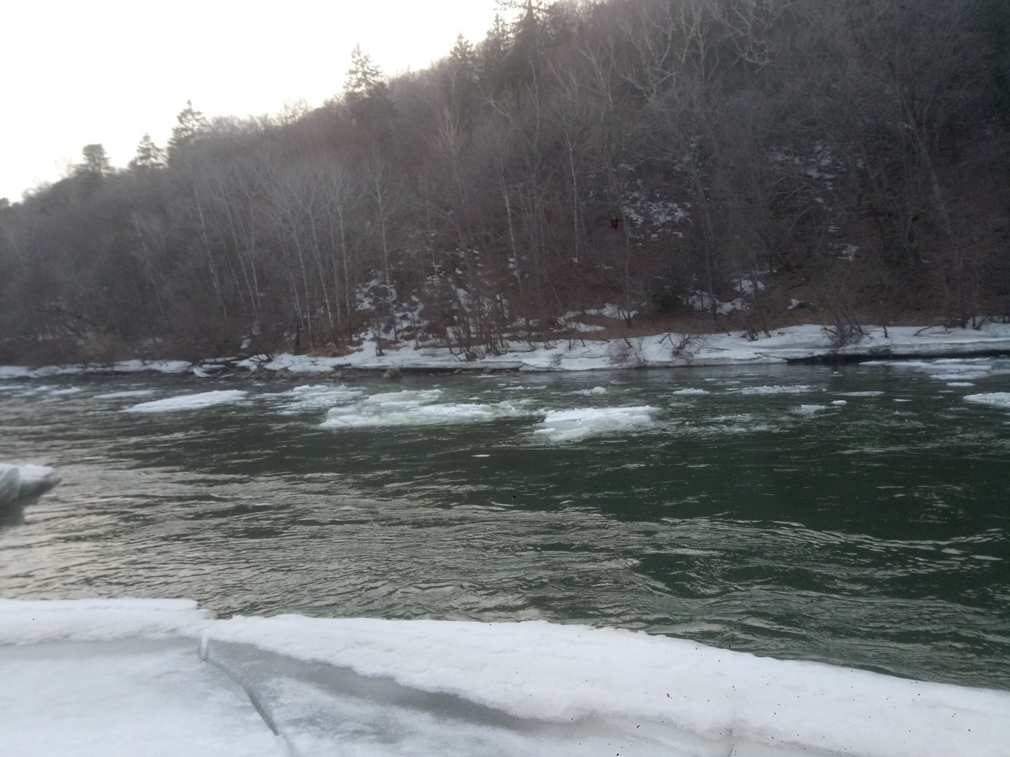 P11229-145215[1].jpg