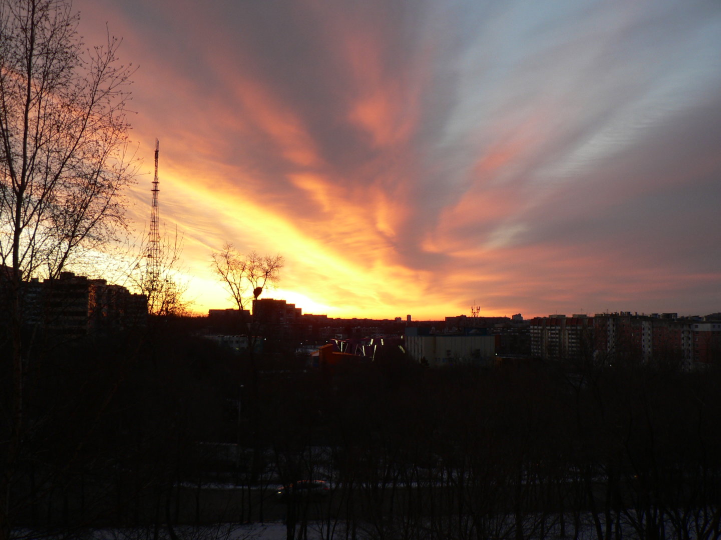P1140101.JPG