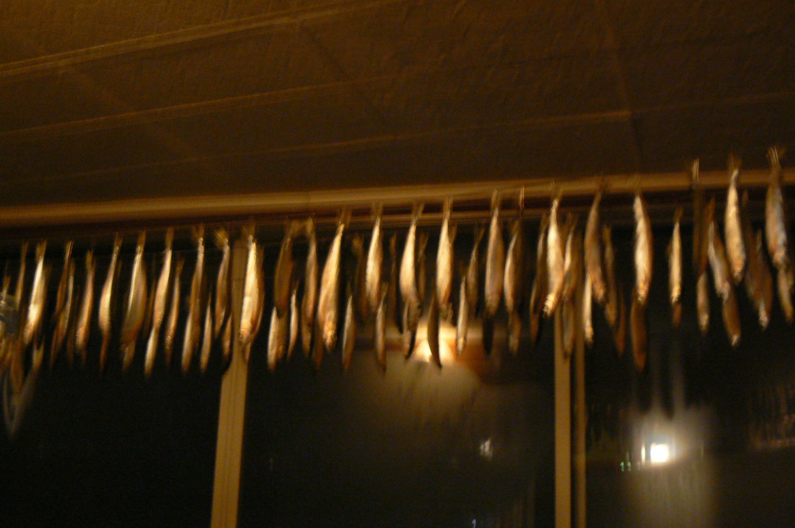 P1170236.JPG