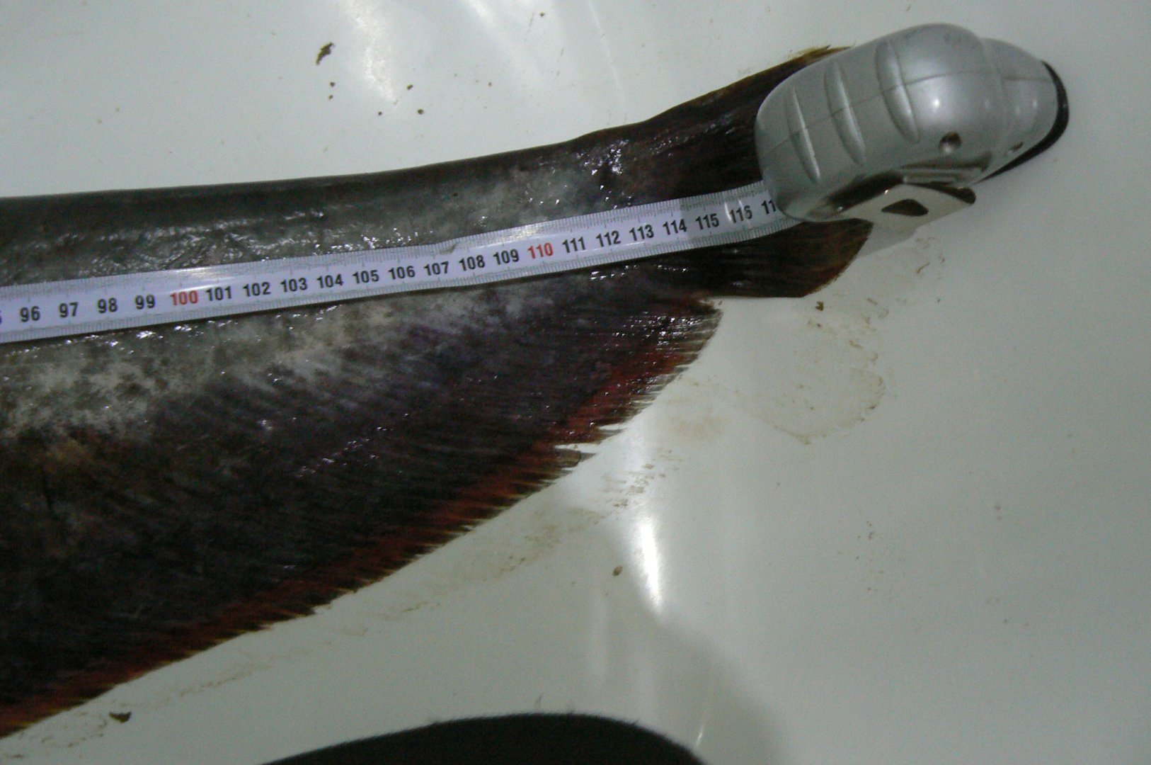 P1180021.JPG