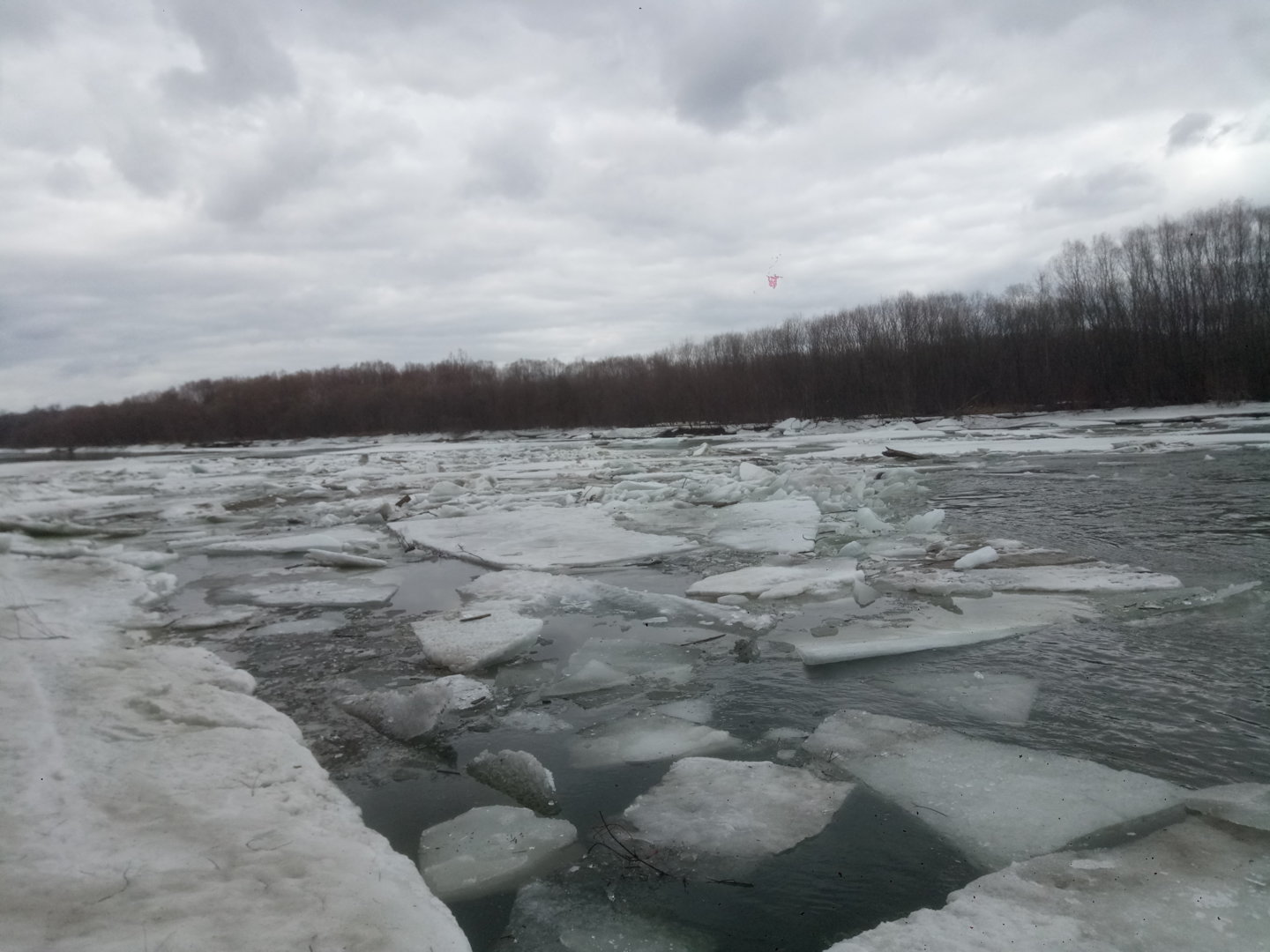 P20101-105527[1].jpg
