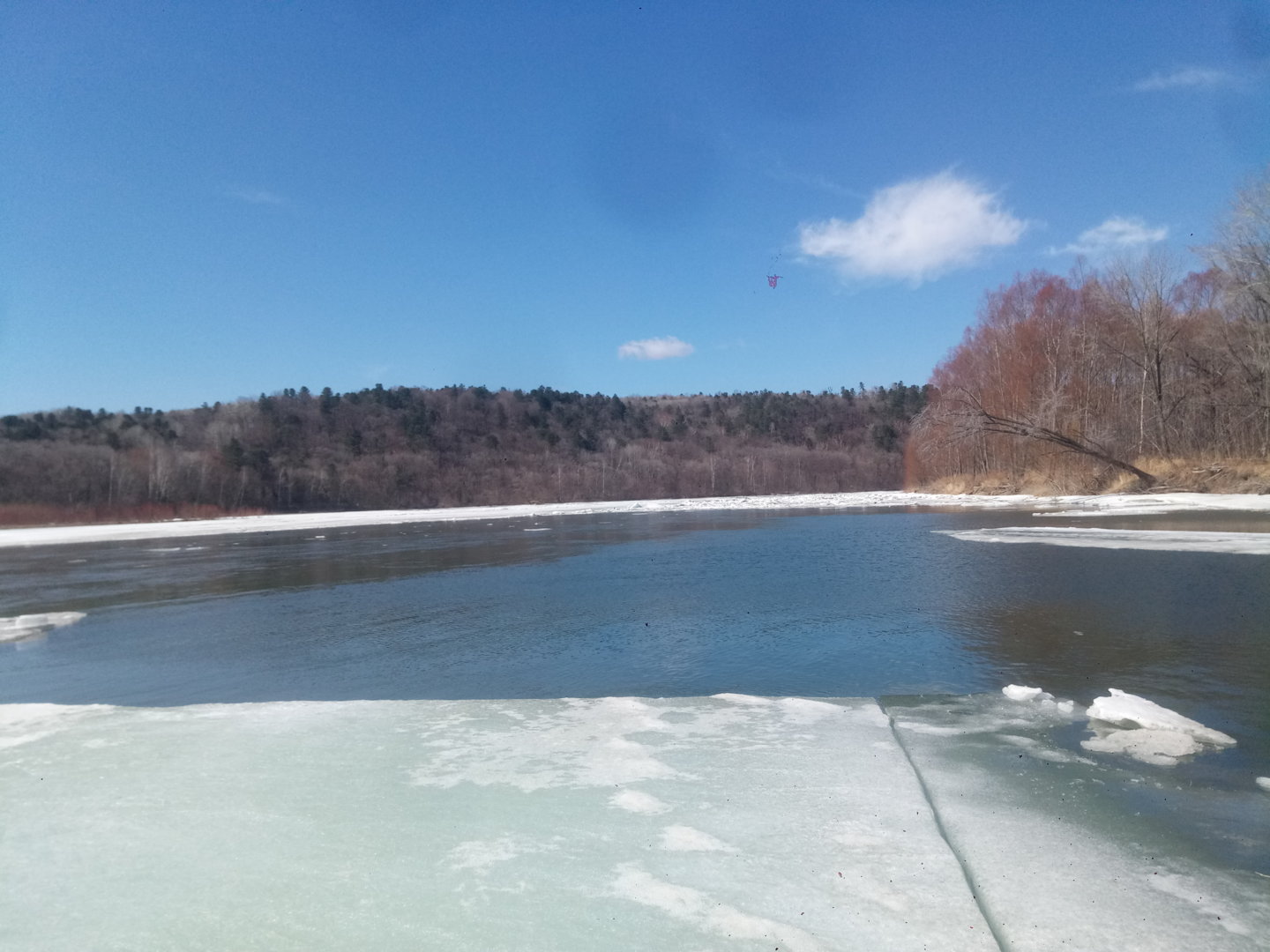 P20102-103420[1].jpg