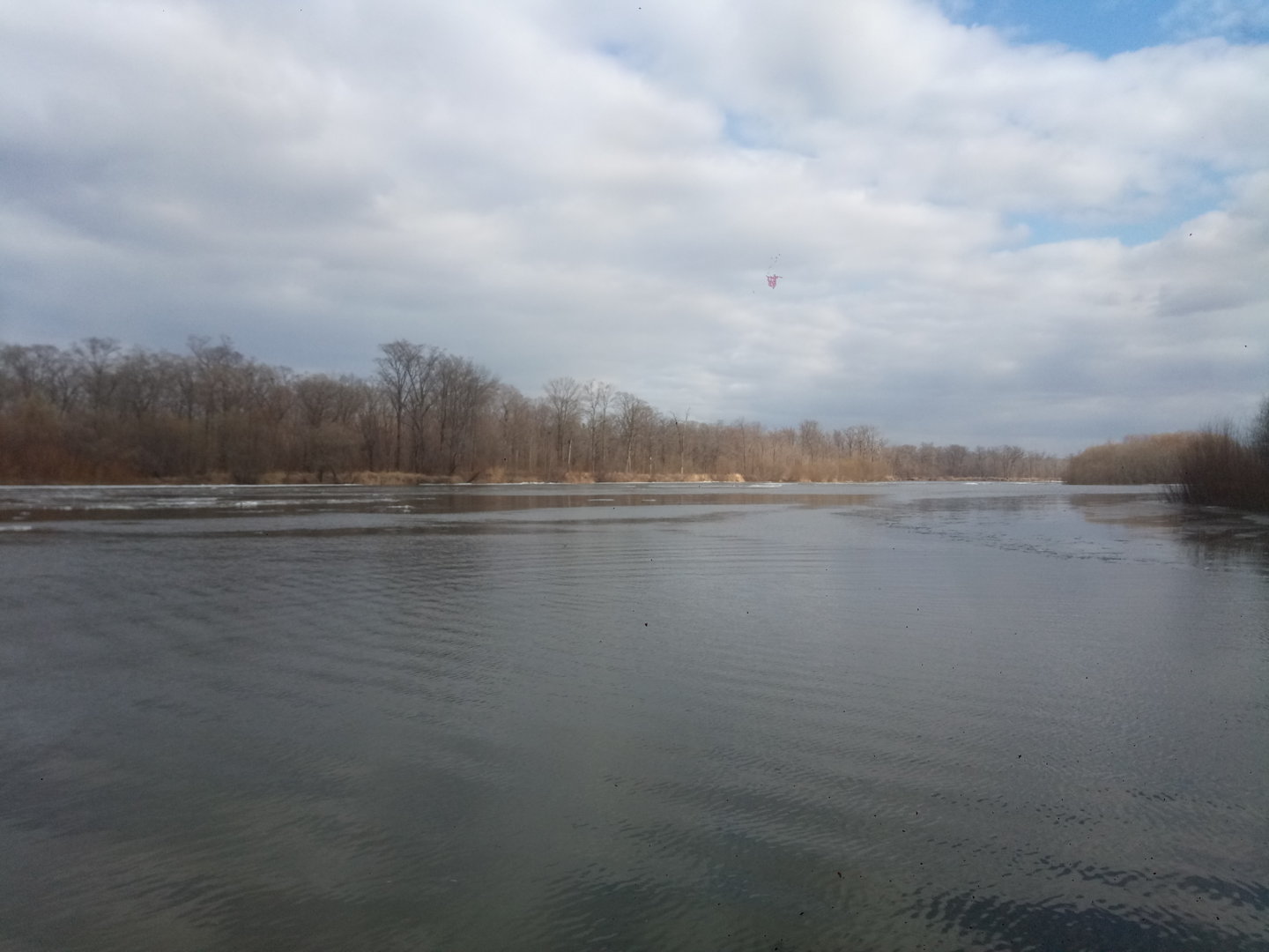 P20109-121926[1].jpg