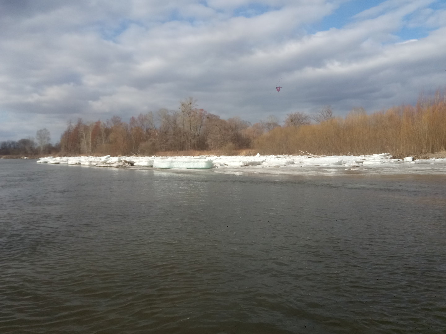 P20109-122846[1].jpg